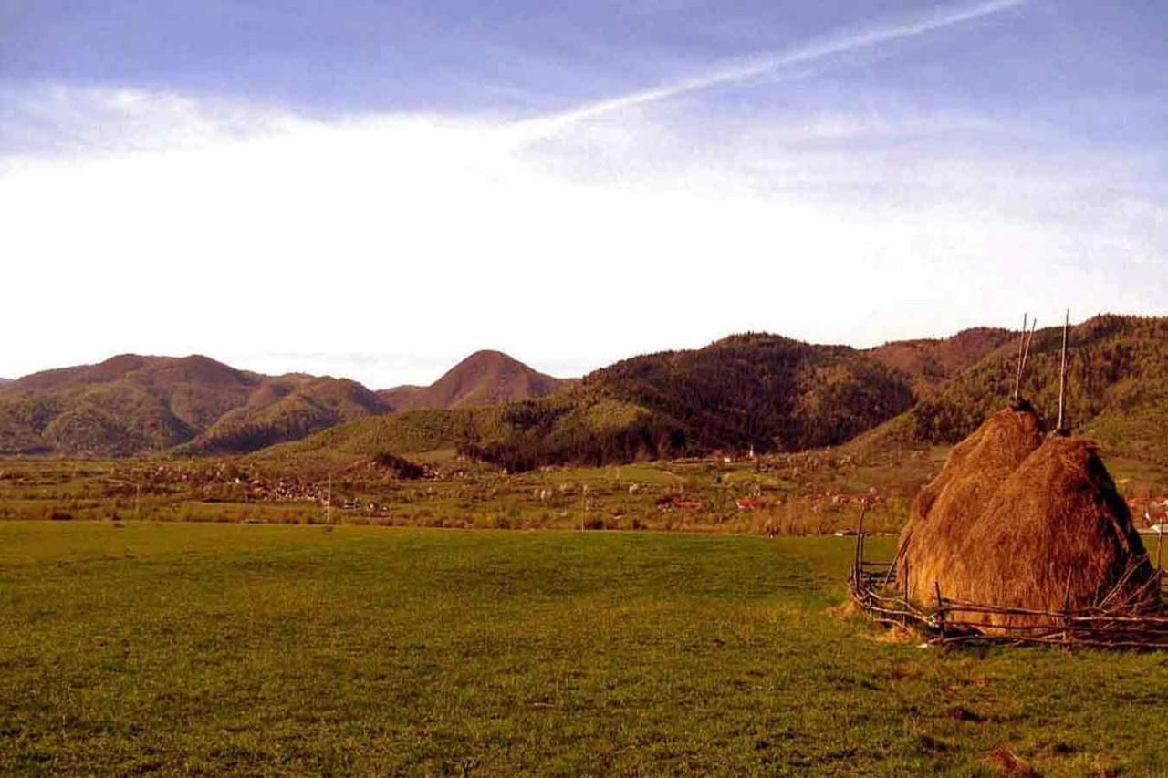 公寓 Casa Zollo