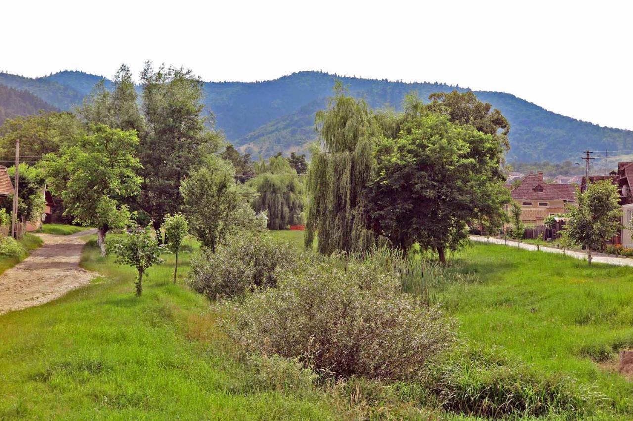 公寓 Casa Zollo Sălişte